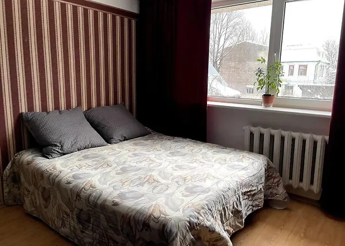 Kena Korter Kesklinnas Ja Ranna Laehedal! Lägenhet Pärnu